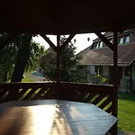 Ibolya Vendeghaz * Kehidakustány