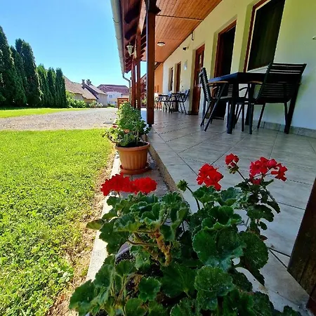 Ibolya Vendeghaz Apartment Kehidakustany