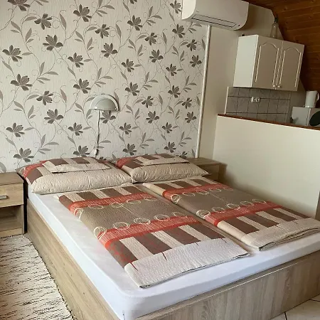 Ibolya Vendeghaz Διαμέρισμα *