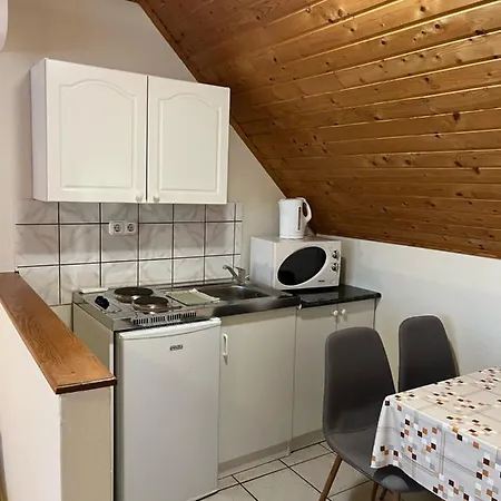 Ibolya Vendeghaz Kehidakustany