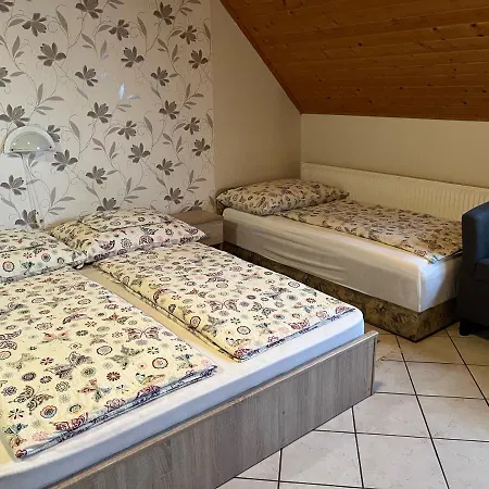 Ibolya Vendeghaz Kehidakustany