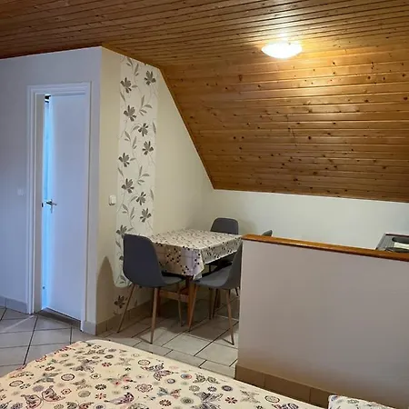 Ibolya Vendeghaz Apartament *