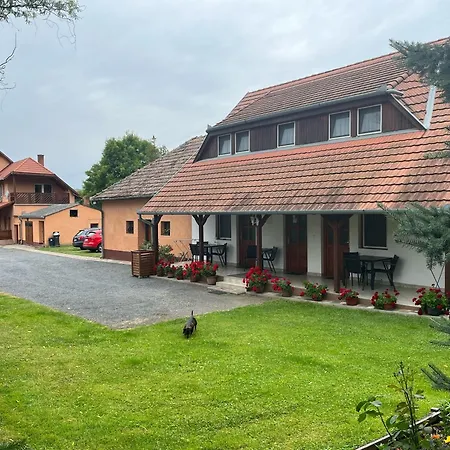 Ibolya Vendeghaz * Kehidakustany