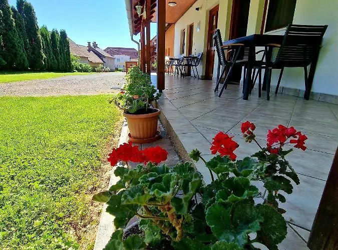 Ibolya Vendeghaz 公寓 凯达库塔尼