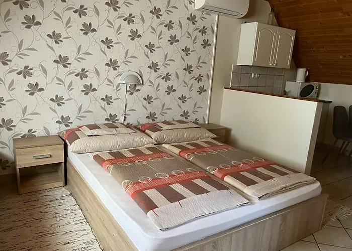 Ibolya Vendeghaz 公寓 *