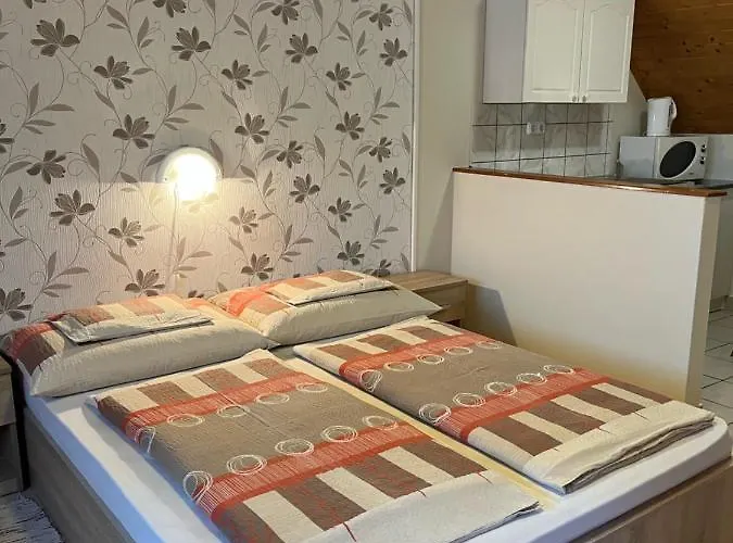 アパート Ibolya Vendeghaz ケヒダクスタニー