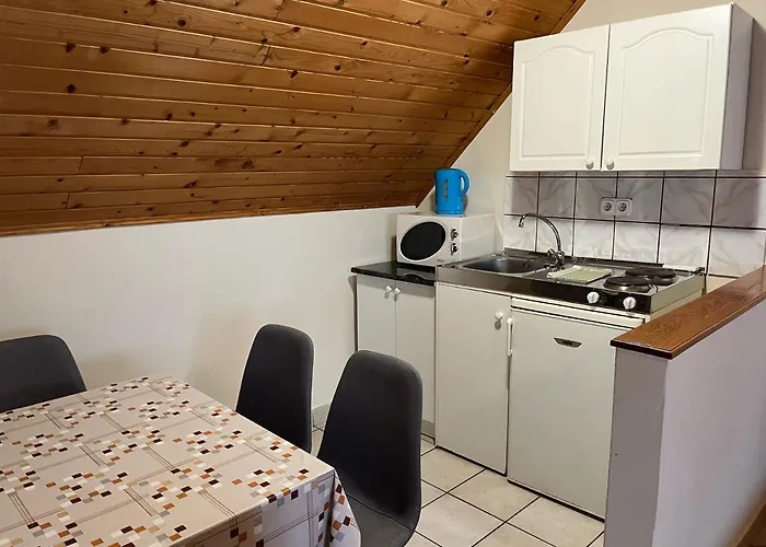 Ibolya Vendeghaz ケヒダクスタニー