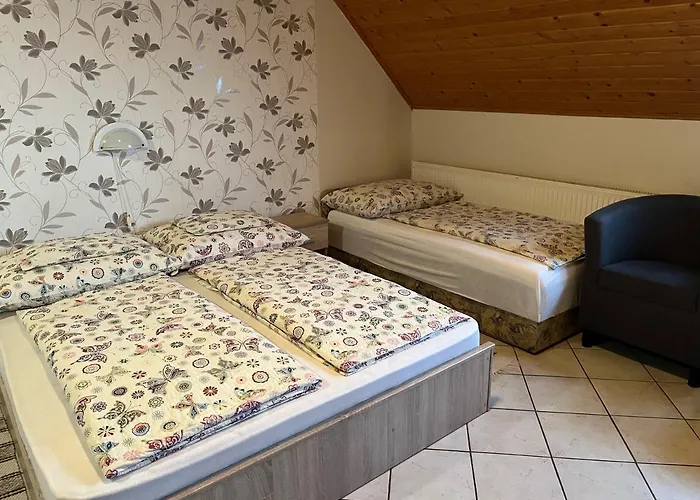 Ibolya Vendeghaz Kehidakustány