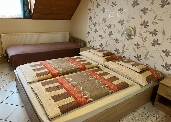 Ibolya Vendeghaz דירה *