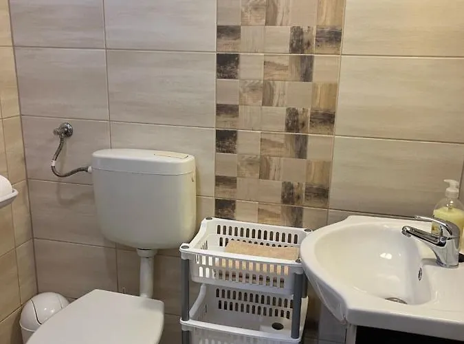 Ibolya Vendeghaz * ケヒダクスタニー