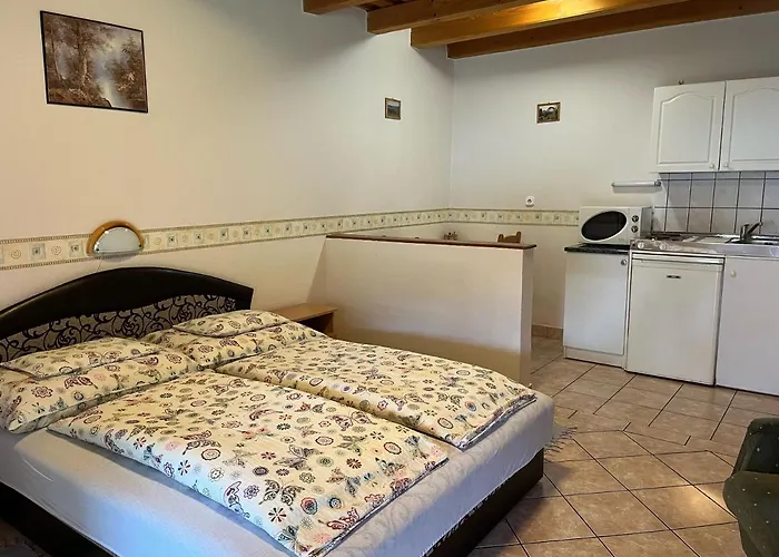 Ibolya Vendeghaz アパート ケヒダクスタニー