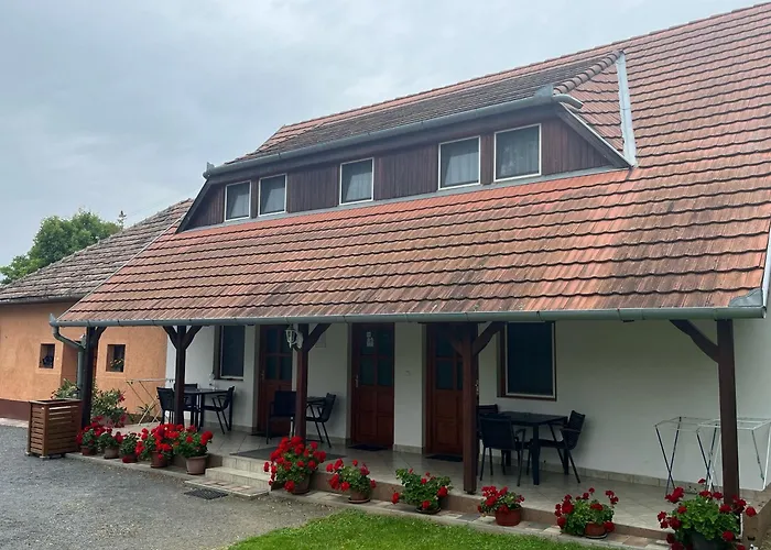 Ibolya Vendeghaz アパート ケヒダクスタニー