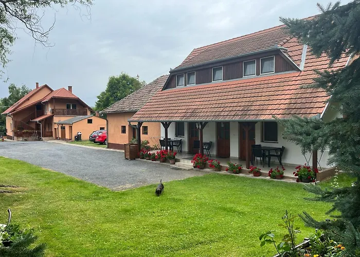 Ibolya Vendeghaz * ケヒダクスタニー